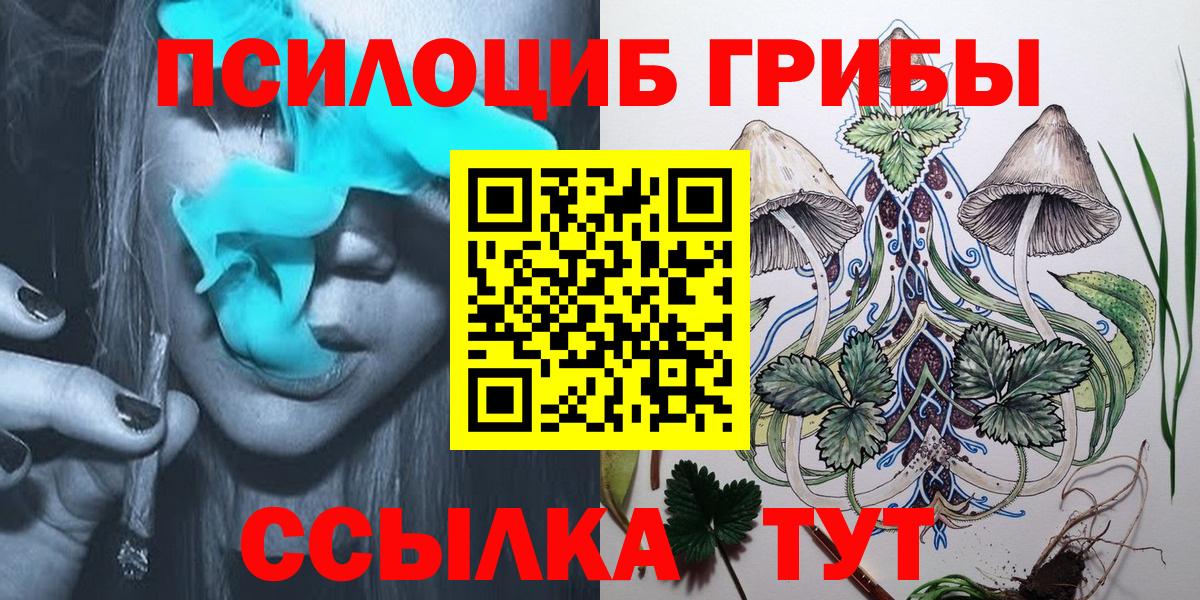 Галлюциногенные грибы прущие грибы  Вход с VPN  Димитровград 